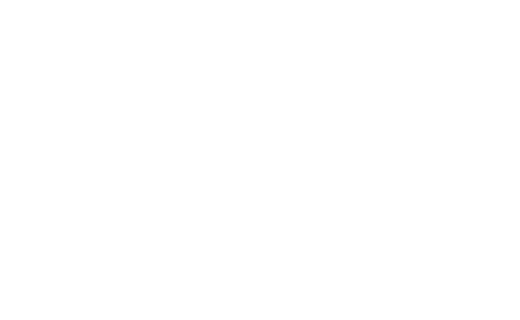 logo boldie